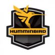 Эхолоты Humminbird
